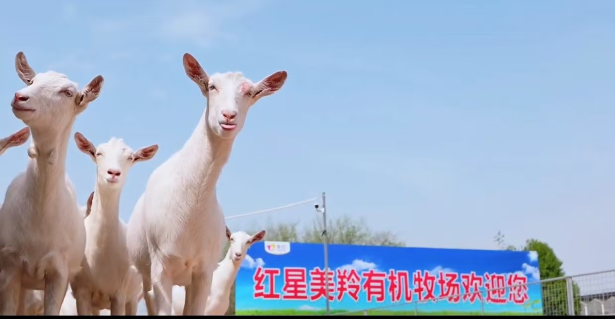 美羚牧場.jpg